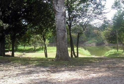 Colorado River Rv Campground Columbus Extérieur photo