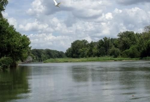 Colorado River Rv Campground Columbus Extérieur photo